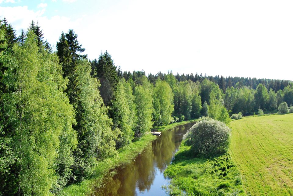 Saikkalanjoki