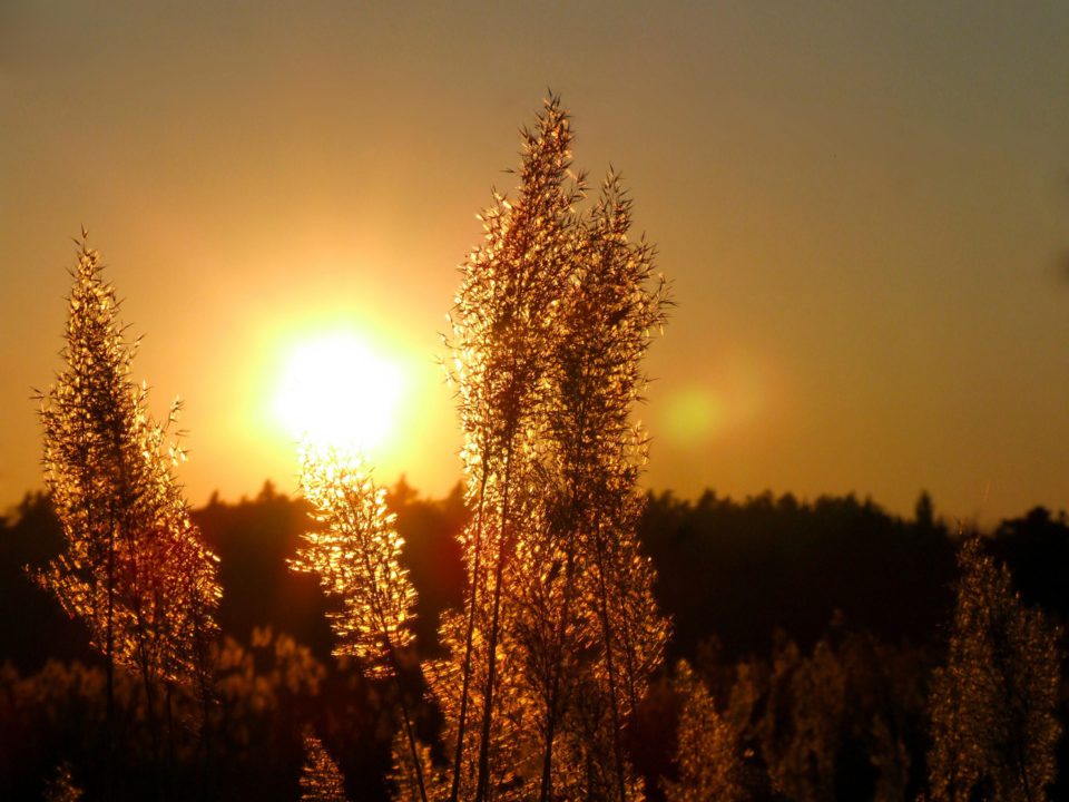 Aurinko, pilvet