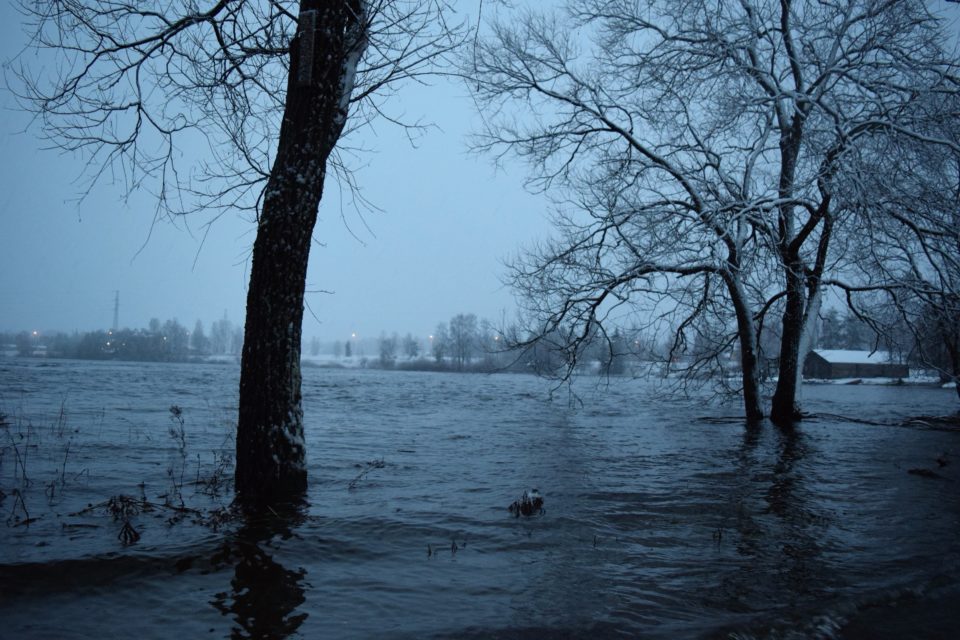 Patsaspuisto