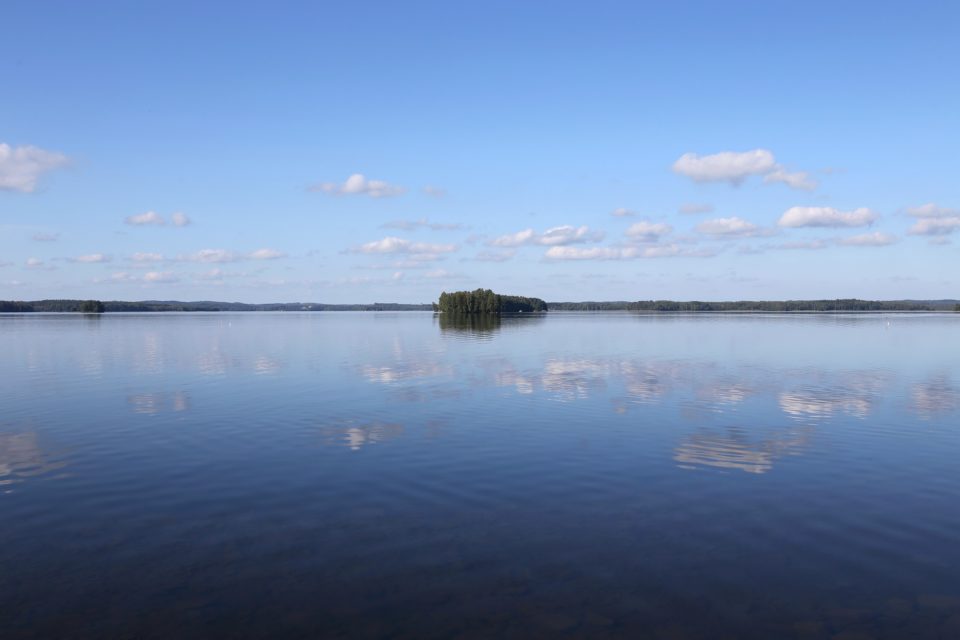Liekovesi