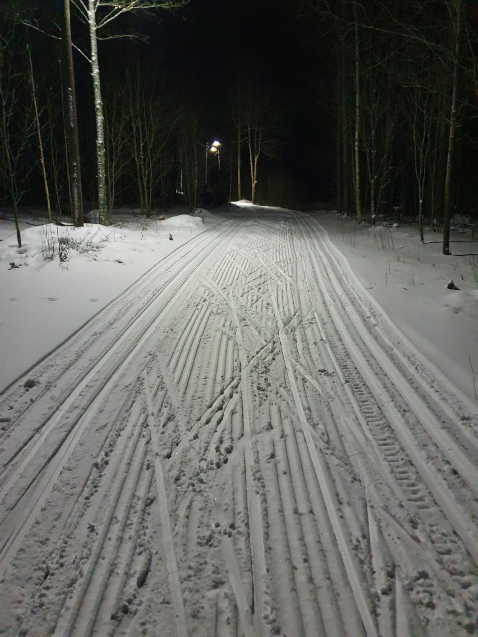 Aurajärvi, latu