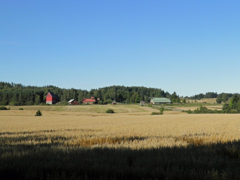 Maaseutu, maalaismaisema