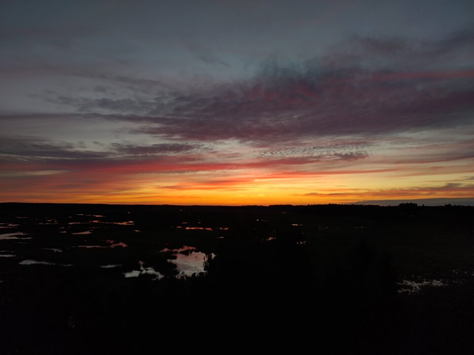 Kesäyö, Puurijärven ja Isosuon kansallispuisto